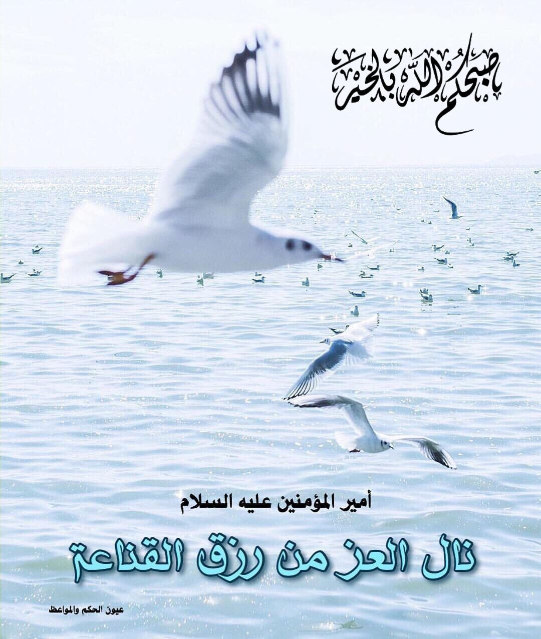 اضغط على الصورة لعرض أكبر. 

الإسم:	photo_2023-02-28_11-31-53.jpg 
مشاهدات:	148 
الحجم:	241.2 كيلوبايت 
الهوية:	968193