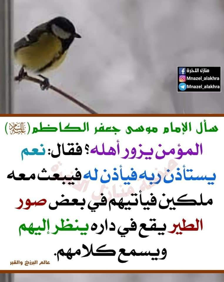 اضغط على الصورة لعرض أكبر. 

الإسم:	photo_2023-03-03_12-35-14.jpg 
مشاهدات:	177 
الحجم:	111.3 كيلوبايت 
الهوية:	968471
