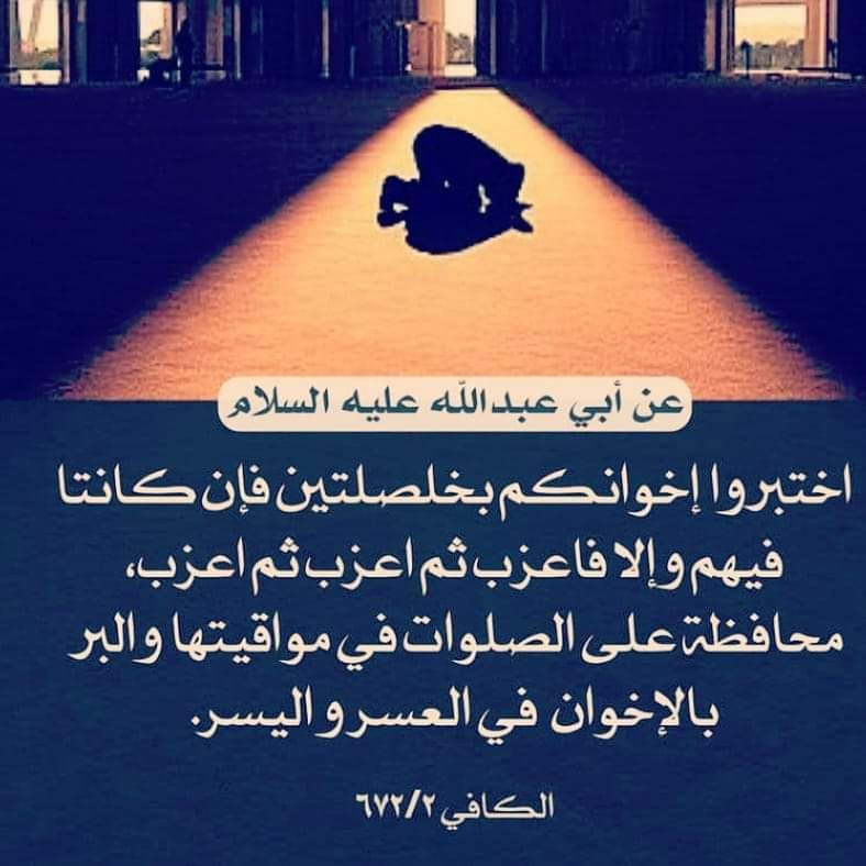 اضغط على الصورة لعرض أكبر. 

الإسم:	photo_٢٠٢٣-٠٣-١١_١١-٣٤-٥٩.jpg 
مشاهدات:	321 
الحجم:	115.6 كيلوبايت 
الهوية:	969474