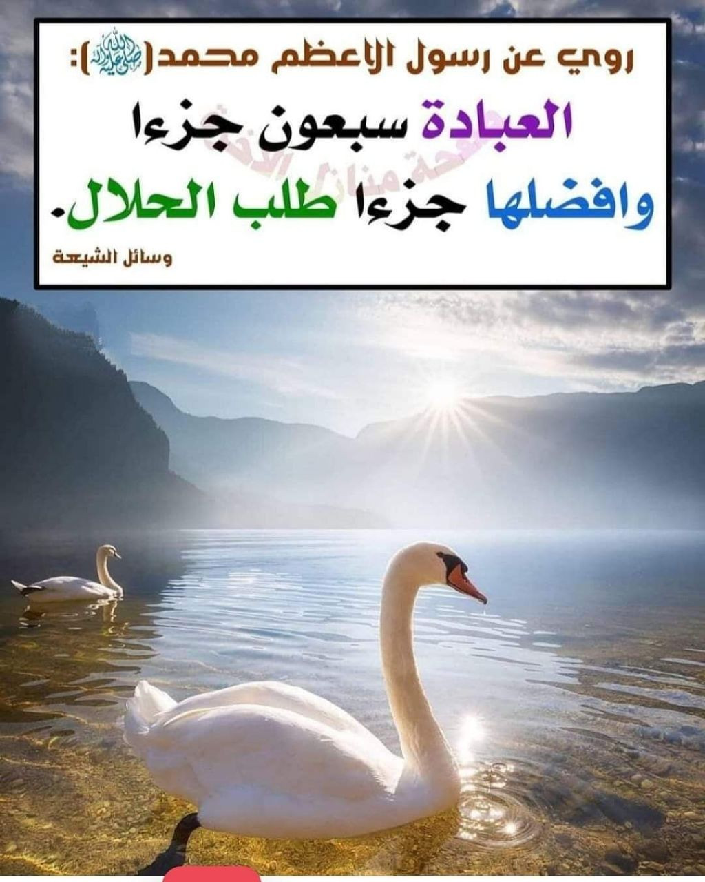 اضغط على الصورة لعرض أكبر. 

الإسم:	photo_2023-03-29_14-23-46.jpg 
مشاهدات:	172 
الحجم:	228.5 كيلوبايت 
الهوية:	971405