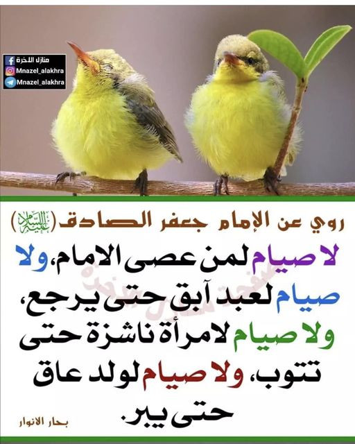 اضغط على الصورة لعرض أكبر. 

الإسم:	341767186_250137957376670_5217515208517269061_n.jpg 
مشاهدات:	220 
الحجم:	87.7 كيلوبايت 
الهوية:	973865