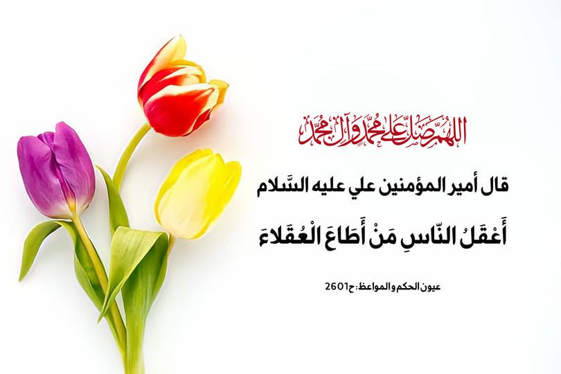 اضغط على الصورة لعرض أكبر. 

الإسم:	343102197_155020587254833_6105738927791976444_n.jpg 
مشاهدات:	381 
الحجم:	66.9 كيلوبايت 
الهوية:	974619
