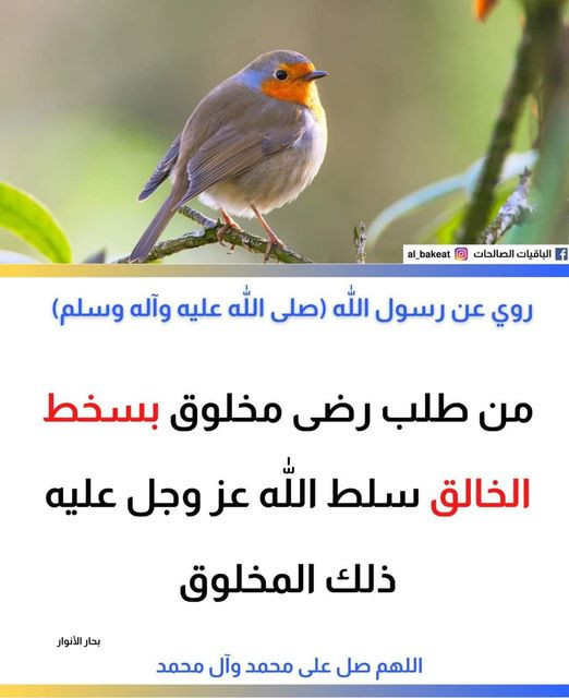اضغط على الصورة لعرض أكبر. 

الإسم:	343800645_774766747350783_6263909688026618765_n.jpg 
مشاهدات:	116 
الحجم:	67.5 كيلوبايت 
الهوية:	974784