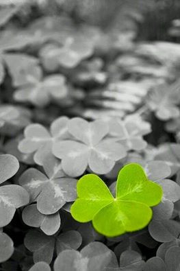 اضغط على الصورة لعرض أكبر. 

الإسم:	12074572_187984224869830_6405348187251206434_n.jpg 
مشاهدات:	931 
الحجم:	25.0 كيلوبايت 
الهوية:	975888