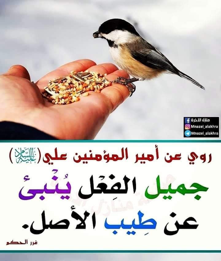 اضغط على الصورة لعرض أكبر. 

الإسم:	photo_٢٠٢٣-٠٥-٢٧_١٠-٣٦-١٣ (2).jpg 
مشاهدات:	130 
الحجم:	100.1 كيلوبايت 
الهوية:	976474