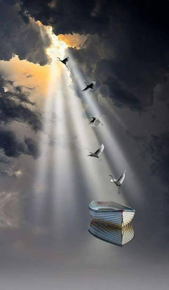 اضغط على الصورة لعرض أكبر. 

الإسم:	21100259_1435010816576980_859549255_n.jpg 
مشاهدات:	3 
الحجم:	36.2 كيلوبايت 
الهوية:	862398