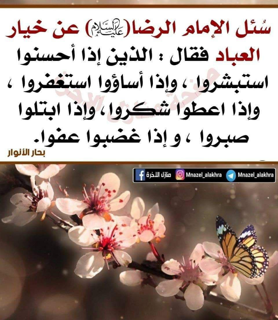 اضغط على الصورة لعرض أكبر. 

الإسم:	photo_٢٠٢٣-٠٦-٠١_٠٩-٢٠-٢٤.jpg 
مشاهدات:	136 
الحجم:	189.3 كيلوبايت 
الهوية:	976831