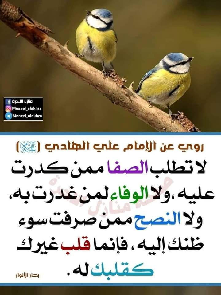 اضغط على الصورة لعرض أكبر. 

الإسم:	photo_2023-06-10_13-48-23.jpg 
مشاهدات:	161 
الحجم:	122.9 كيلوبايت 
الهوية:	979056