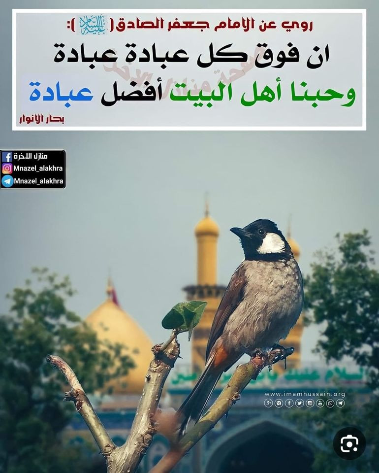 اضغط على الصورة لعرض أكبر. 

الإسم:	368004803_3526661714216852_4572836804593809807_n.jpg 
مشاهدات:	188 
الحجم:	157.3 كيلوبايت 
الهوية:	981365