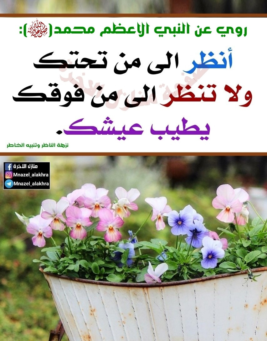 اضغط على الصورة لعرض أكبر. 

الإسم:	255120255_1788951537956675_2361749976175534562_n.jpg 
مشاهدات:	150 
الحجم:	226.6 كيلوبايت 
الهوية:	991029