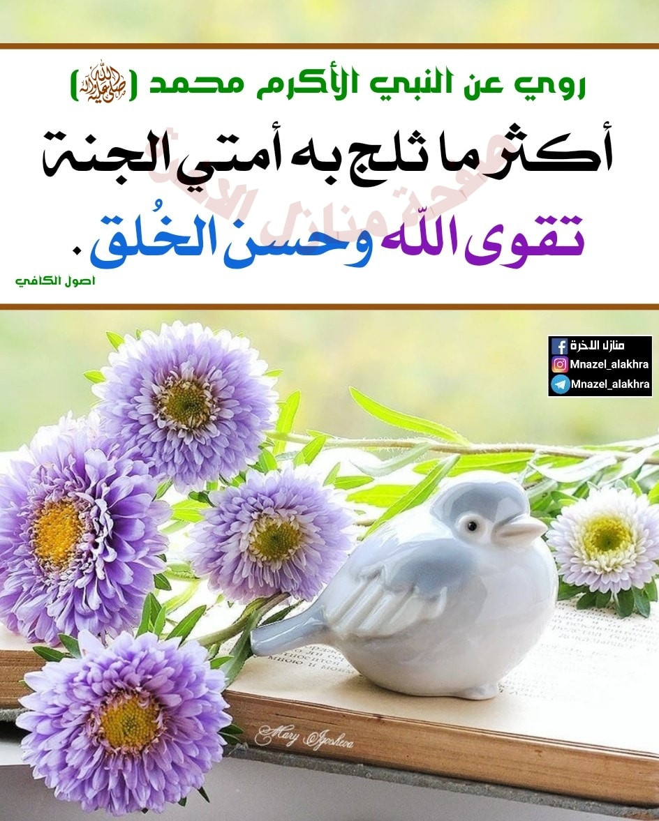 اضغط على الصورة لعرض أكبر. 

الإسم:	266201699_1813391688845993_4292630040216671116_n.jpg 
مشاهدات:	176 
الحجم:	288.0 كيلوبايت 
الهوية:	991031