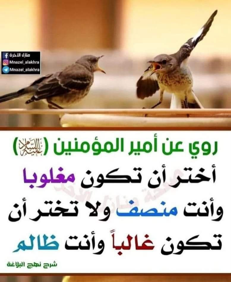 اضغط على الصورة لعرض أكبر. 

الإسم:	photo_2023-10-21_09-38-10.jpg 
مشاهدات:	195 
الحجم:	114.9 كيلوبايت 
الهوية:	992913