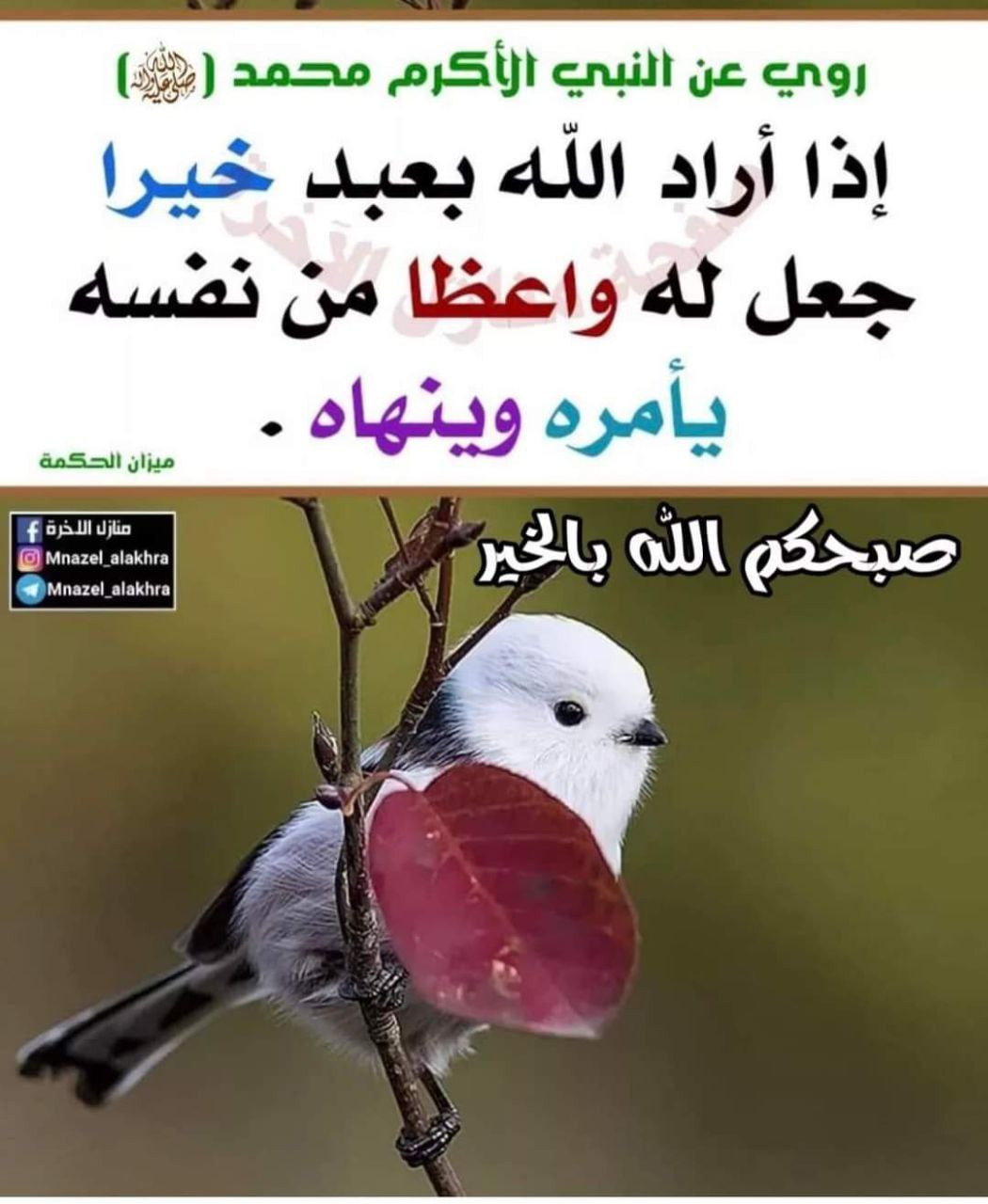 اضغط على الصورة لعرض أكبر. 

الإسم:	photo_2023-10-21_09-38-47.jpg 
مشاهدات:	168 
الحجم:	181.2 كيلوبايت 
الهوية:	993418