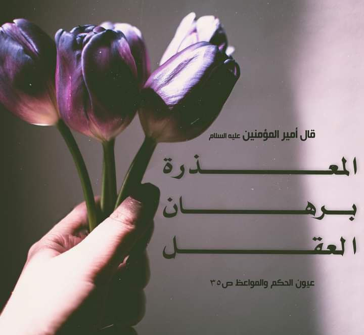 اضغط على الصورة لعرض أكبر. 

الإسم:	photo_2023-11-11_11-14-21.jpg 
مشاهدات:	102 
الحجم:	58.0 كيلوبايت 
الهوية:	995640