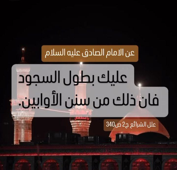 اضغط على الصورة لعرض أكبر. 

الإسم:	photo_2023-11-12_08-37-33.jpg 
مشاهدات:	132 
الحجم:	80.5 كيلوبايت 
الهوية:	995700