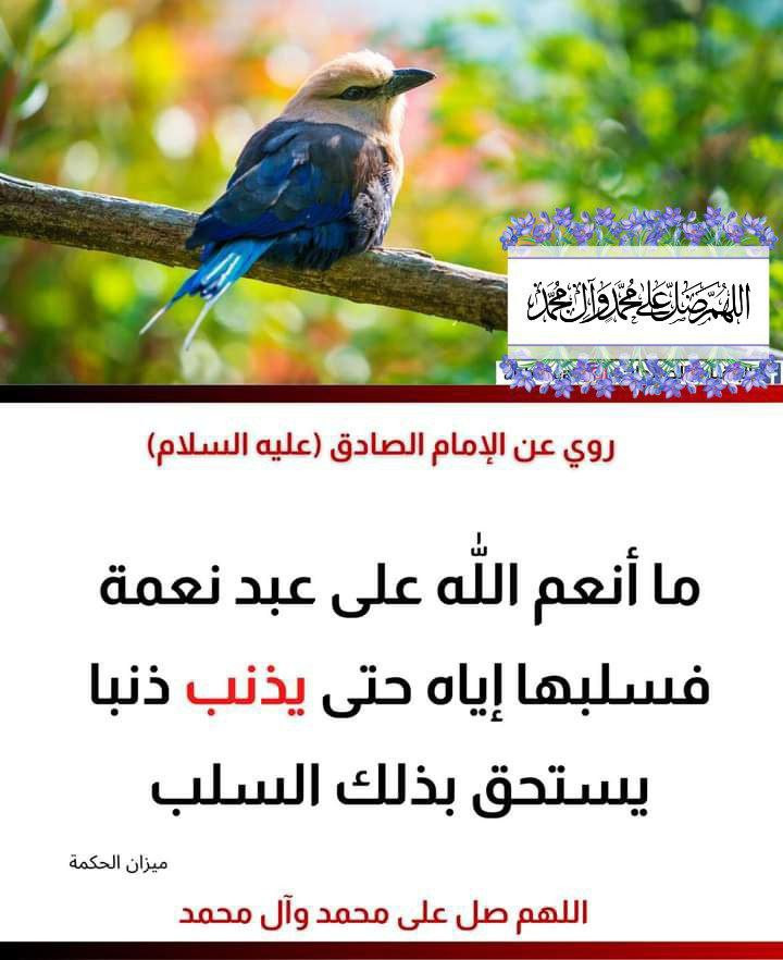 اضغط على الصورة لعرض أكبر. 

الإسم:	photo_2023-11-27_11-47-13.jpg 
مشاهدات:	143 
الحجم:	128.1 كيلوبايت 
الهوية:	997299