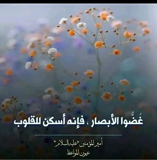 اضغط على الصورة لعرض أكبر. 

الإسم:	407428448_649956047353726_5112063786532893214_n.jpg 
مشاهدات:	231 
الحجم:	103.3 كيلوبايت 
الهوية:	997695