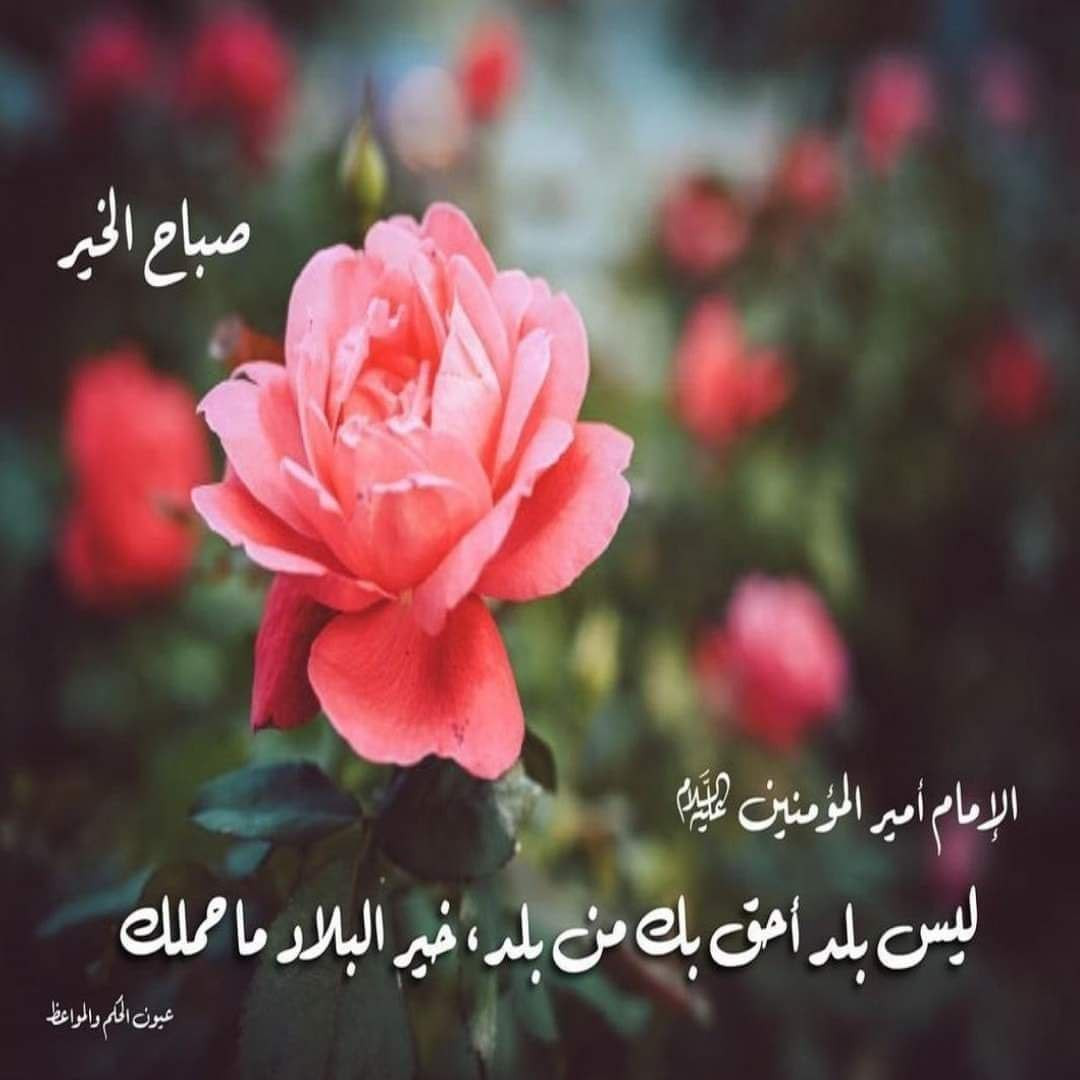 اضغط على الصورة لعرض أكبر. 

الإسم:	photo_٢٠٢٣-١٢-٠٣_١٣-٢١-١١ (2).jpg 
مشاهدات:	109 
الحجم:	132.4 كيلوبايت 
الهوية:	997851