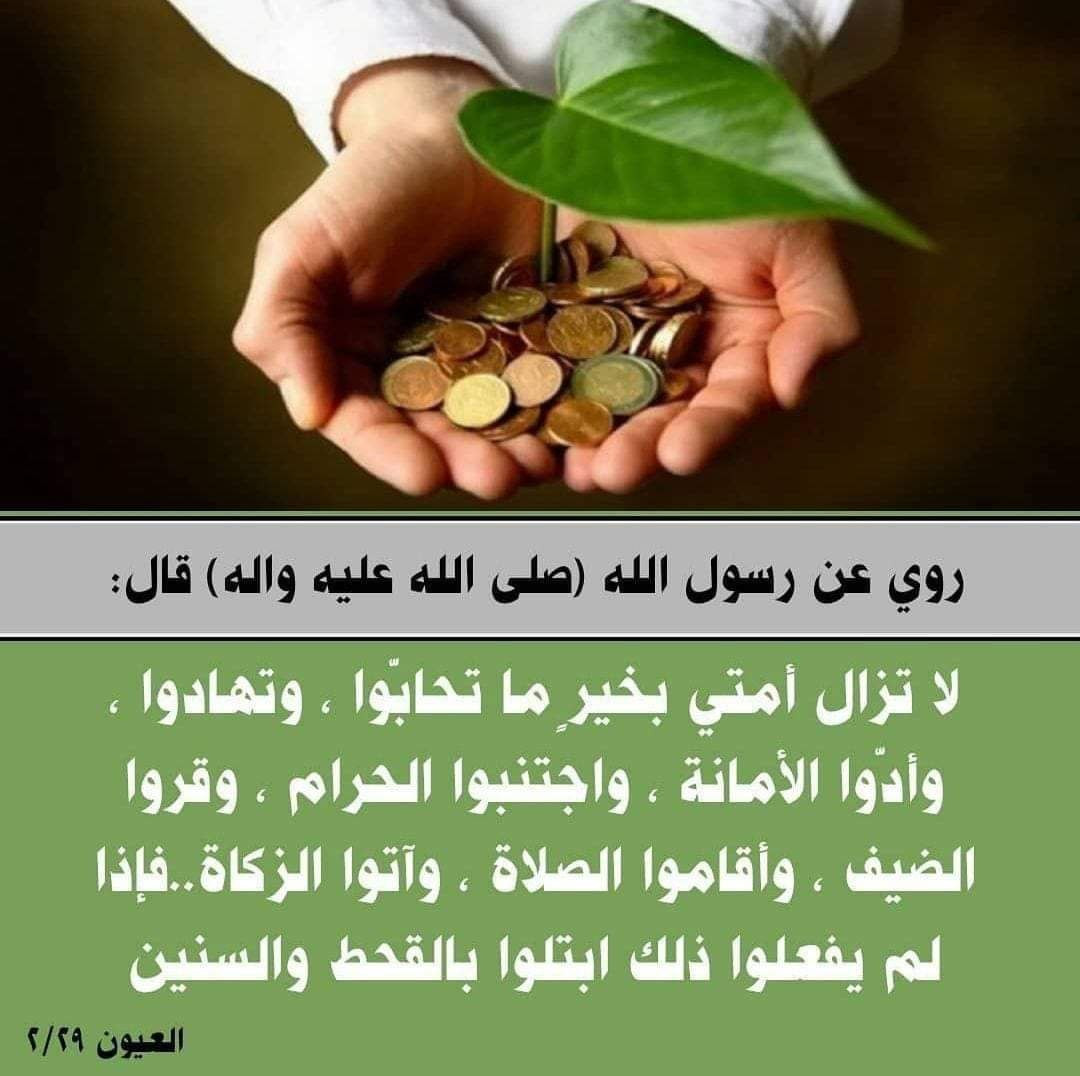 اضغط على الصورة لعرض أكبر. 

الإسم:	photo_2023-12-07_12-59-08.jpg 
مشاهدات:	177 
الحجم:	163.6 كيلوبايت 
الهوية:	998218