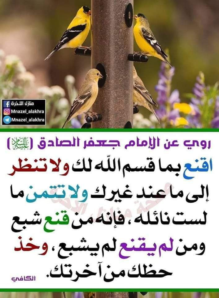 اضغط على الصورة لعرض أكبر. 

الإسم:	photo_2023-12-13_13-53-10.jpg 
مشاهدات:	125 
الحجم:	141.4 كيلوبايت 
الهوية:	998646