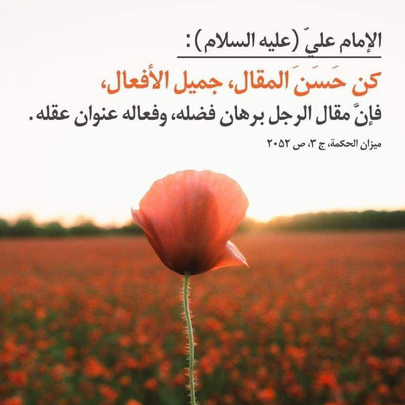 اضغط على الصورة لعرض أكبر. 

الإسم:	photo_٢٠٢٣-١٢-٢٣_١٠-٥٢-٣٩ (5).jpg 
مشاهدات:	118 
الحجم:	95.7 كيلوبايت 
الهوية:	999438