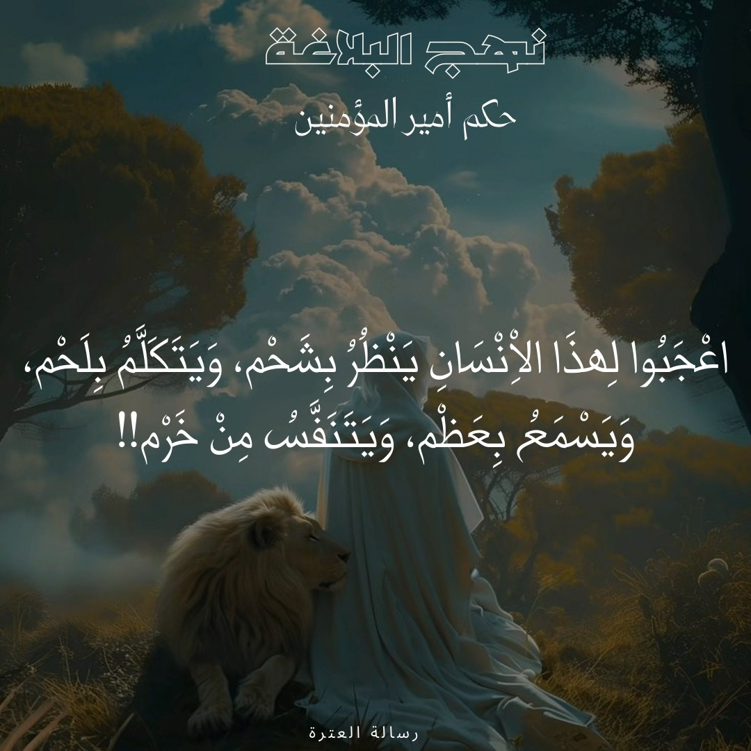 اضغط على الصورة لعرض أكبر. 

الإسم:	37.jpg 
مشاهدات:	57 
الحجم:	212.2 كيلوبايت 
الهوية:	1020751