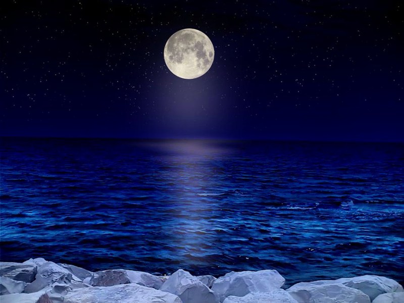 اضغط على الصورة لعرض أكبر. 

الإسم:	8a8788b71c7635c43ffb6e4dfcfe07b4.jpg 
مشاهدات:	1 
الحجم:	93.2 كيلوبايت 
الهوية:	855426