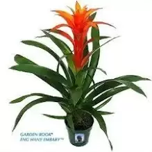 اضغط على الصورة لعرض أكبر. 

الإسم:	dataurl254293.webp 
مشاهدات:	108 
الحجم:	6.3 كيلوبايت 
الهوية:	1027588