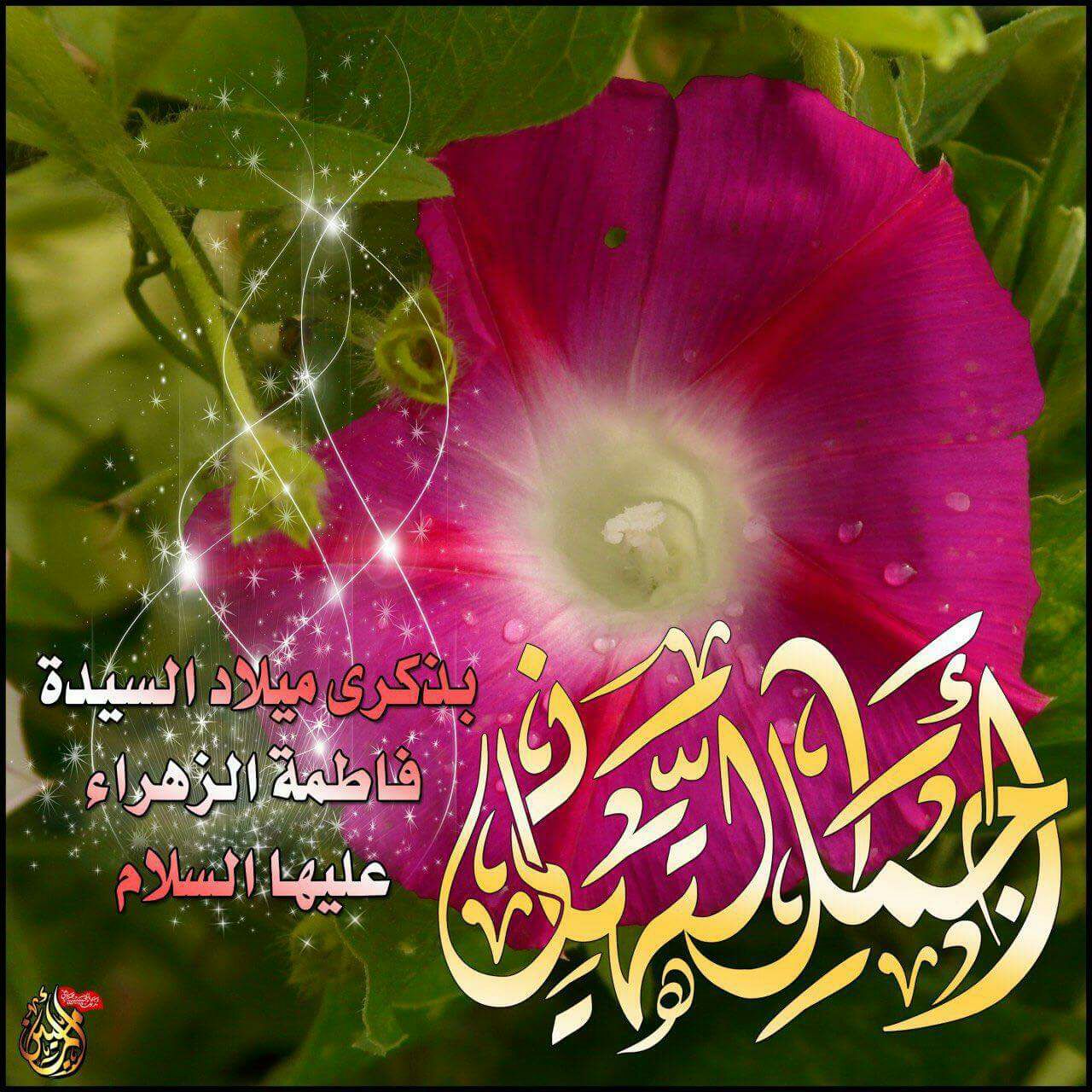 اضغط على الصورة لعرض أكبر. 

الإسم:	IMG-20170319-WA0008.jpg 
مشاهدات:	1 
الحجم:	290.9 كيلوبايت 
الهوية:	841039