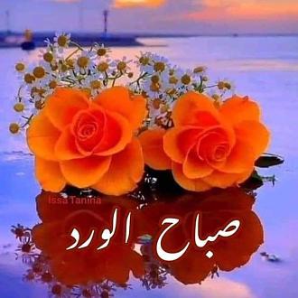 اضغط على الصورة لعرض أكبر. 

الإسم:	IMG_20241211_004328_392.jpg 
مشاهدات:	96 
الحجم:	95.3 كيلوبايت 
الهوية:	1029163