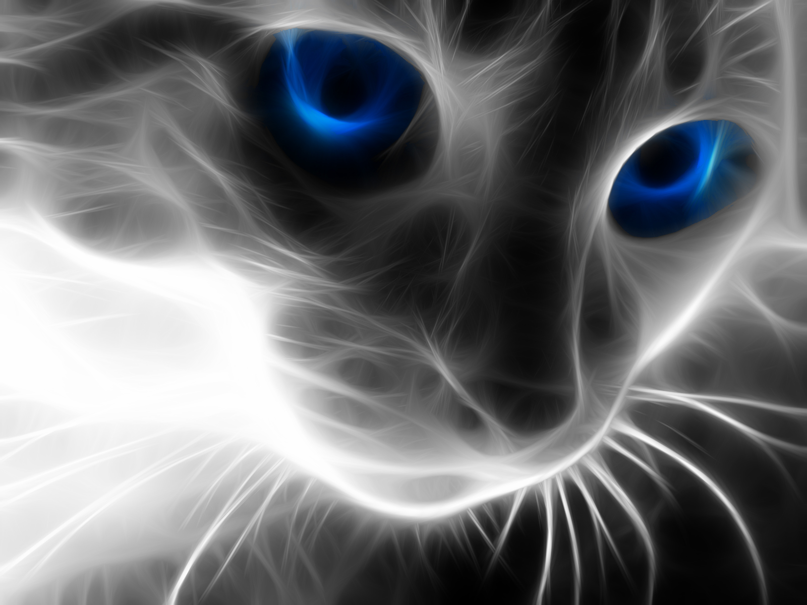 اضغط على الصورة لعرض أكبر. 

الإسم:	18640_photo_manipulation_fractalius_fractalius_cat.jpg 
مشاهدات:	1 
الحجم:	526.8 كيلوبايت 
الهوية:	852090