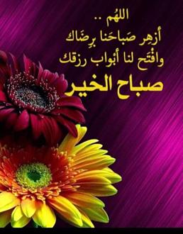 اضغط على الصورة لعرض أكبر. 

الإسم:	IMG_20250122_065501_045.jpg 
مشاهدات:	31 
الحجم:	129.4 كيلوبايت 
الهوية:	1032276
