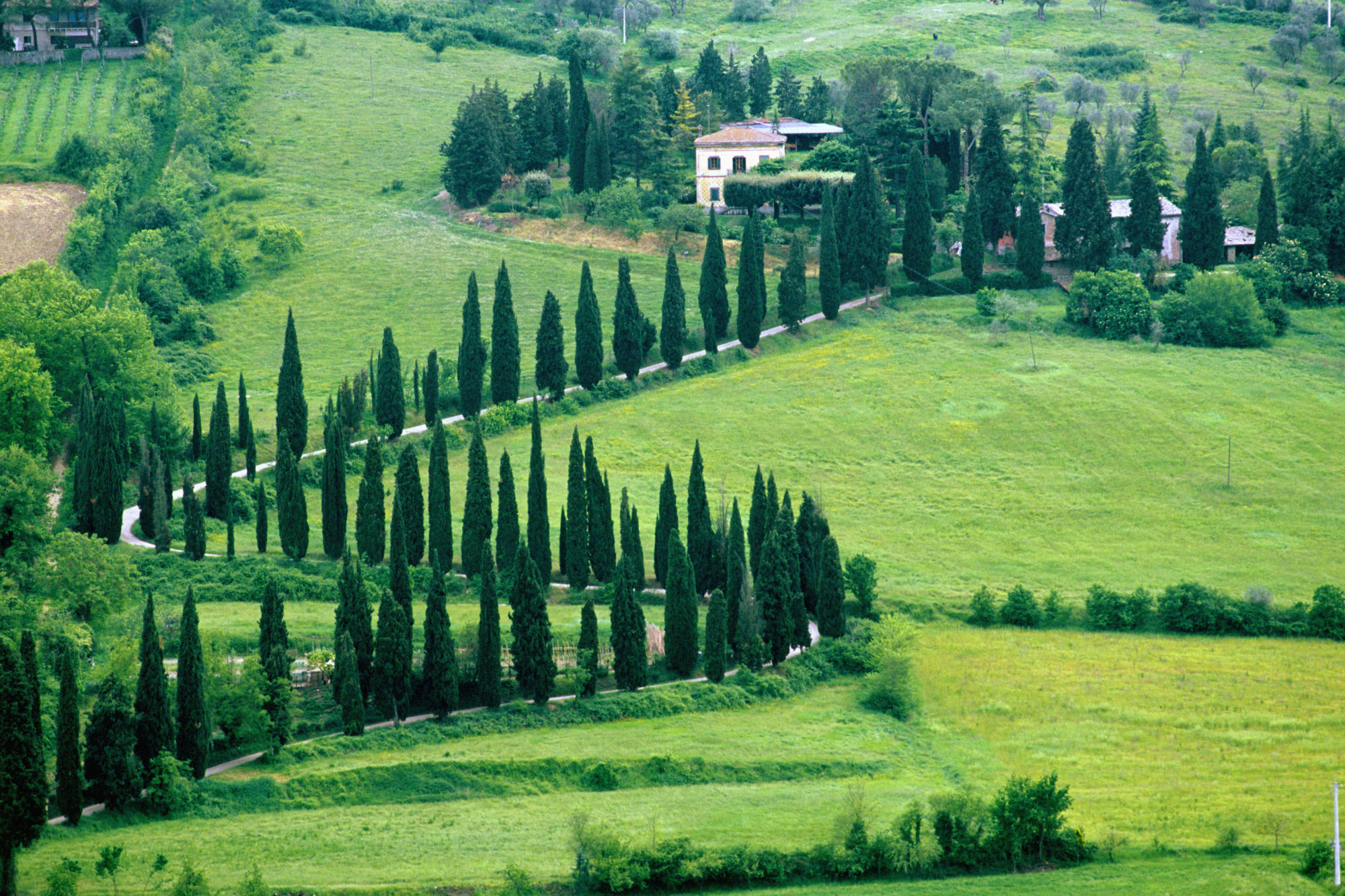 اضغط على الصورة لعرض أكبر. 

الإسم:	Scenery Near Orvieto, Umbria, Italy.jpg 
مشاهدات:	1 
الحجم:	693.7 كيلوبايت 
الهوية:	852207