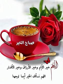 اضغط على الصورة لعرض أكبر. 

الإسم:	IMG_20250601_065642_690.jpg 
مشاهدات:	24 
الحجم:	108.9 كيلوبايت 
الهوية:	1042735