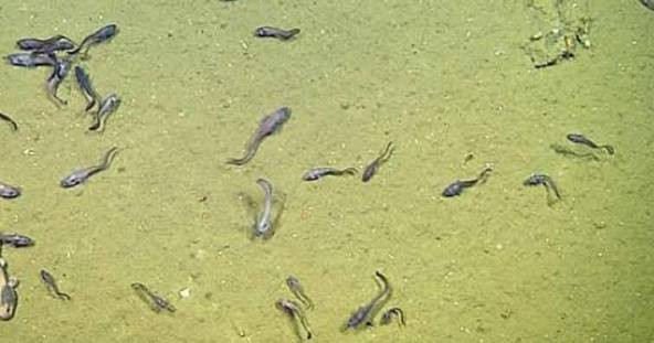 اضغط على الصورة لعرض أكبر. 

الإسم:	dataurl009118.jpg 
مشاهدات:	22 
الحجم:	44.5 كيلوبايت 
الهوية:	1055633