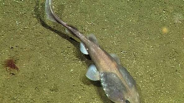 اضغط على الصورة لعرض أكبر. 

الإسم:	dataurl009121.jpg 
مشاهدات:	22 
الحجم:	66.4 كيلوبايت 
الهوية:	1055635