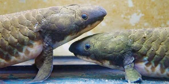 اضغط على الصورة لعرض أكبر. 

الإسم:	dataurl009130.jpg 
مشاهدات:	22 
الحجم:	49.3 كيلوبايت 
الهوية:	1055637