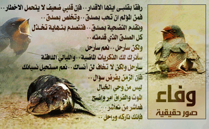 اضغط على الصورة لعرض أكبر.&nbsp;

الإسم:	100159.imgcache.gif&nbsp;
مشاهدات:	1&nbsp;
الحجم:	68.7 كيلوبايت&nbsp;
الهوية:	849164