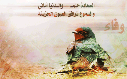 اضغط على الصورة لعرض أكبر.&nbsp;

الإسم:	100158.imgcache.gif&nbsp;
مشاهدات:	1&nbsp;
الحجم:	55.7 كيلوبايت&nbsp;
الهوية:	849163