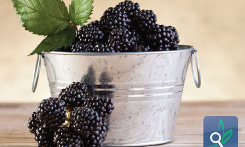 اضغط على الصورة لعرض أكبر.&nbsp;

الإسم:	main-3332.jpg&nbsp;
مشاهدات:	1&nbsp;
الحجم:	32.7 كيلوبايت&nbsp;
الهوية:	850838