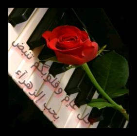 اضغط على الصورة لعرض أكبر.&nbsp;

الإسم:	sii04040.jpg&nbsp;
مشاهدات:	1&nbsp;
الحجم:	10.7 كيلوبايت&nbsp;
الهوية:	833277