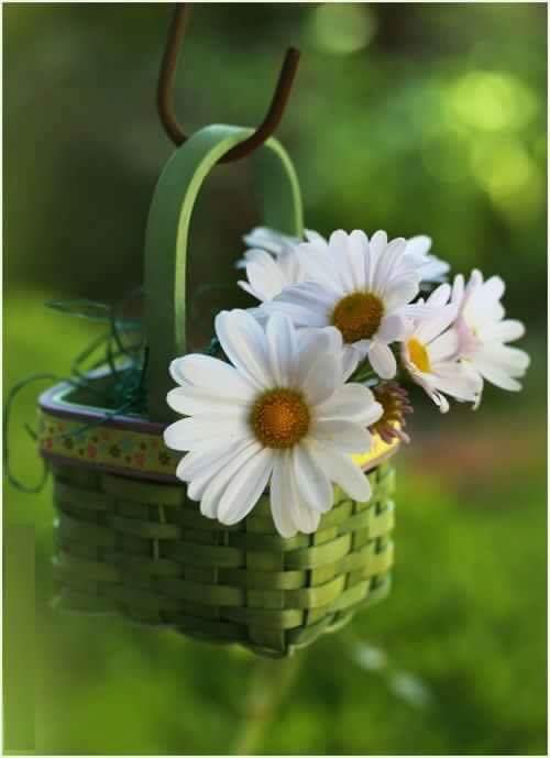 اضغط على الصورة لعرض أكبر.&nbsp;

الإسم:	13590514_269615076734889_1196124103926780640_n.jpg&nbsp;
مشاهدات:	2&nbsp;
الحجم:	23.4 كيلوبايت&nbsp;
الهوية:	861862