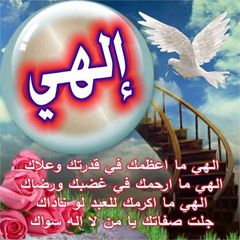 اضغط على الصورة لعرض أكبر.&nbsp;

الإسم:	562533_507697155932650_1594385560_n.jpg&nbsp;
مشاهدات:	1&nbsp;
الحجم:	53.2 كيلوبايت&nbsp;
الهوية:	834203