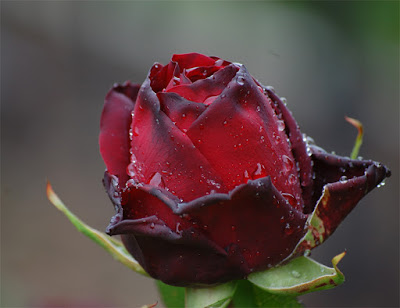 اضغط على الصورة لعرض أكبر.&nbsp;

الإسم:	file4741295265984.jpg&nbsp;
مشاهدات:	1&nbsp;
الحجم:	30.9 كيلوبايت&nbsp;
الهوية:	859815