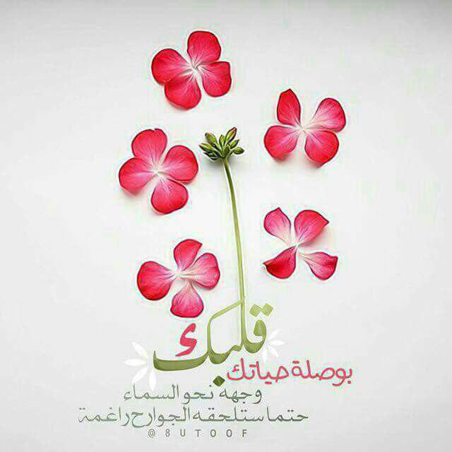 اضغط على الصورة لعرض أكبر.&nbsp;

الإسم:	photo_2017-02-24_20-12-11.jpg&nbsp;
مشاهدات:	1&nbsp;
الحجم:	33.2 كيلوبايت&nbsp;
الهوية:	840834