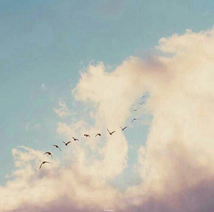 اضغط على الصورة لعرض أكبر.&nbsp;

الإسم:	photo_2016-08-23_20-20-02.jpg&nbsp;
مشاهدات:	2&nbsp;
الحجم:	27.2 كيلوبايت&nbsp;
الهوية:	859919