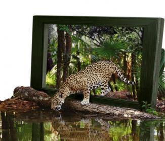 اضغط على الصورة لعرض أكبر.&nbsp;

الإسم:	79746080qw4.jpg&nbsp;
مشاهدات:	1&nbsp;
الحجم:	19.8 كيلوبايت&nbsp;
الهوية:	848586