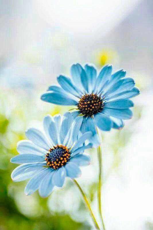 اضغط على الصورة لعرض أكبر.&nbsp;

الإسم:	photo_2017-07-31_00-29-56.jpg&nbsp;
مشاهدات:	2&nbsp;
الحجم:	37.9 كيلوبايت&nbsp;
الهوية:	863771