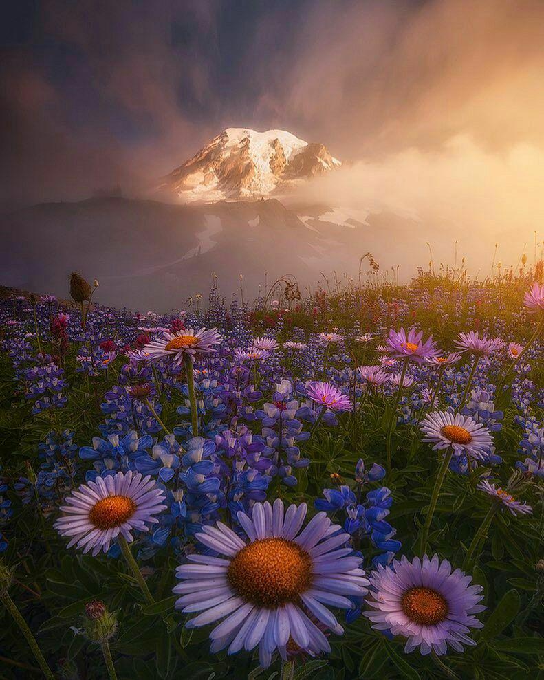 اضغط على الصورة لعرض أكبر.&nbsp;

الإسم:	photo_2017-10-11_11-27-09.jpg&nbsp;
مشاهدات:	2&nbsp;
الحجم:	132.4 كيلوبايت&nbsp;
الهوية:	864440