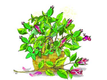 اضغط على الصورة لعرض أكبر.&nbsp;

الإسم:	9944.jpg&nbsp;
مشاهدات:	1&nbsp;
الحجم:	20.8 كيلوبايت&nbsp;
الهوية:	828924